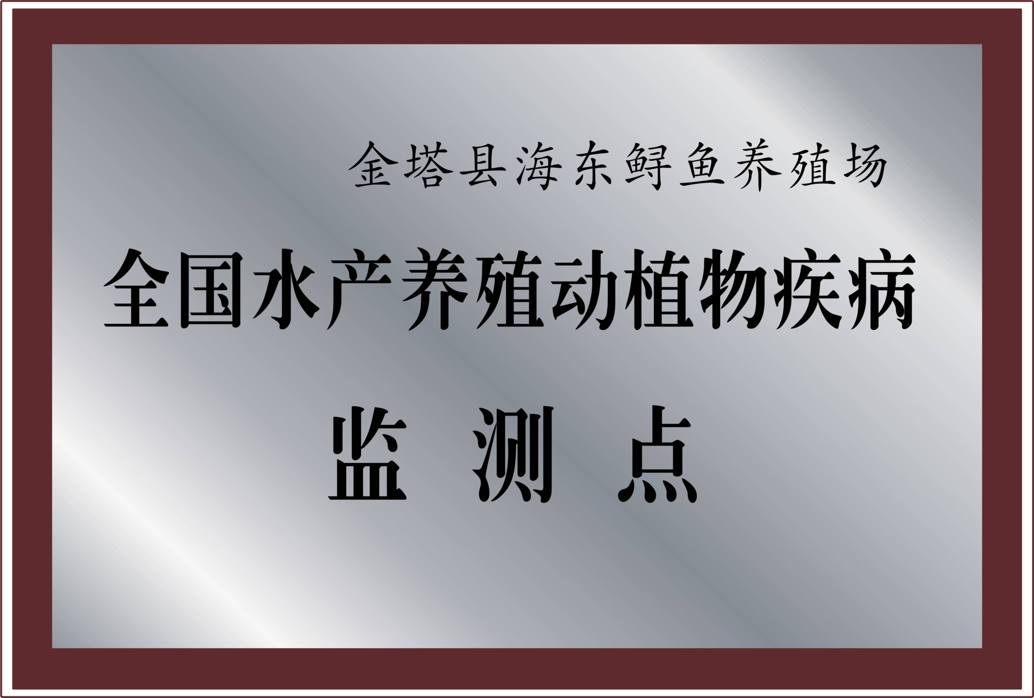 品牌荣誉