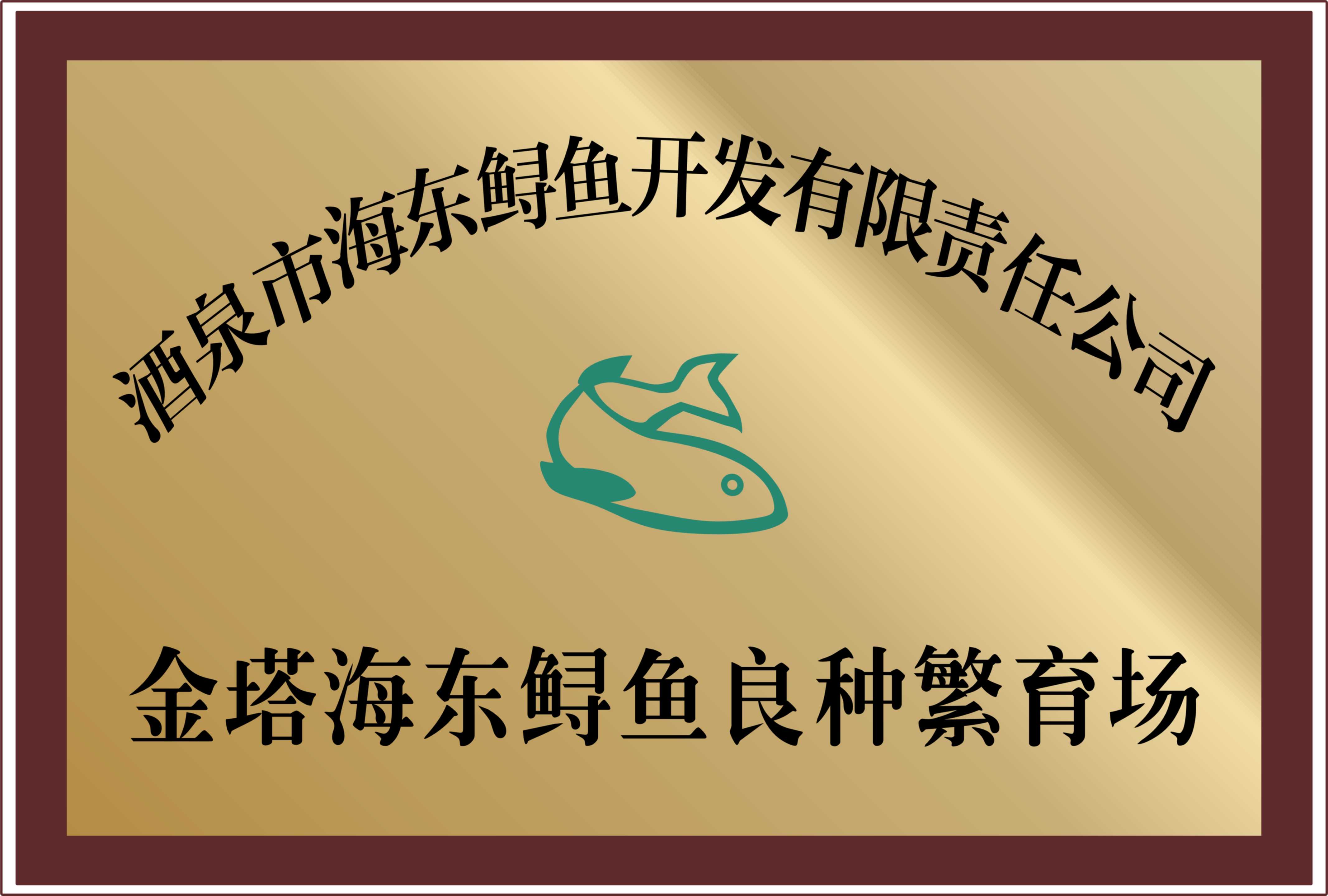 品牌荣誉