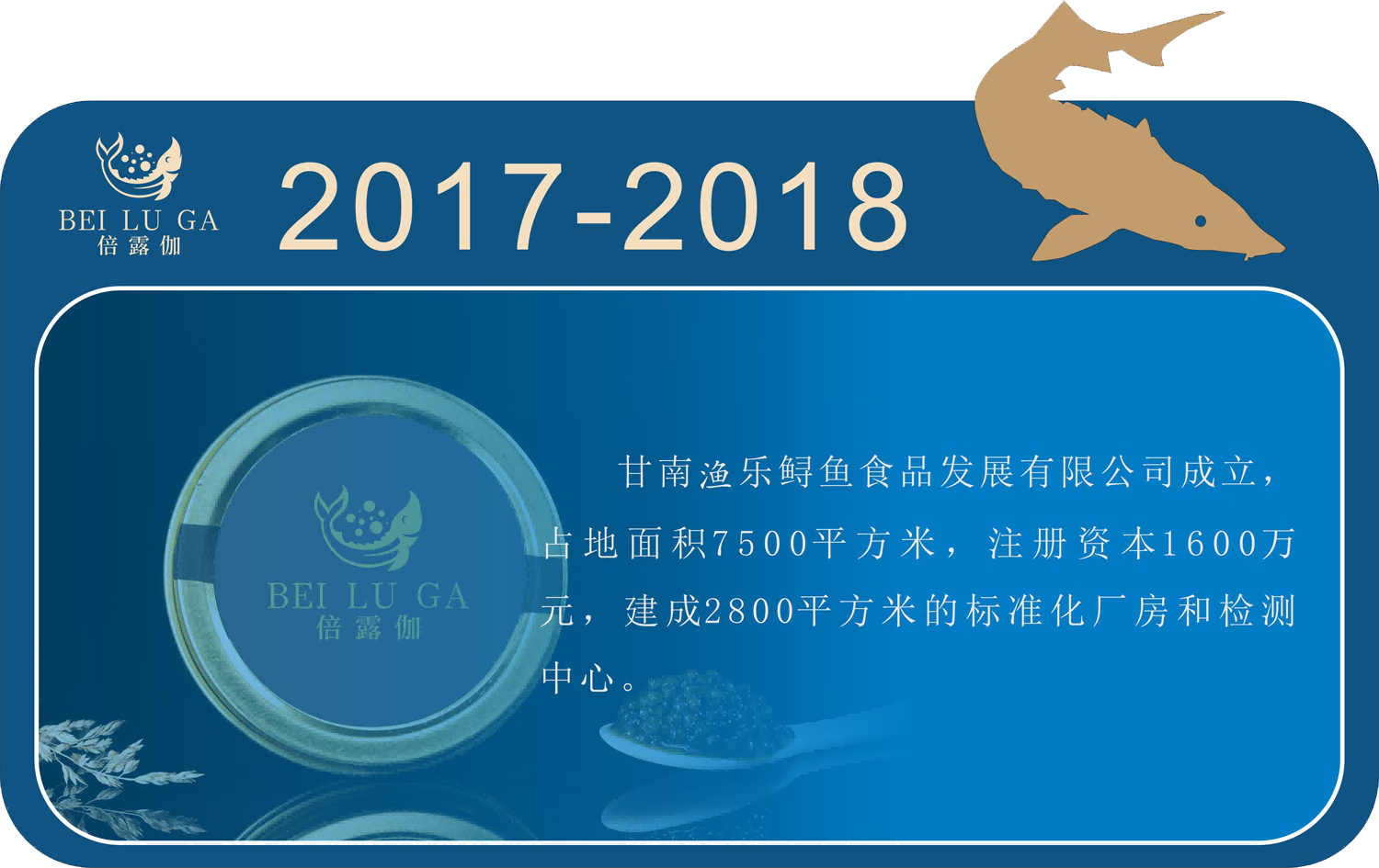 2017-2018