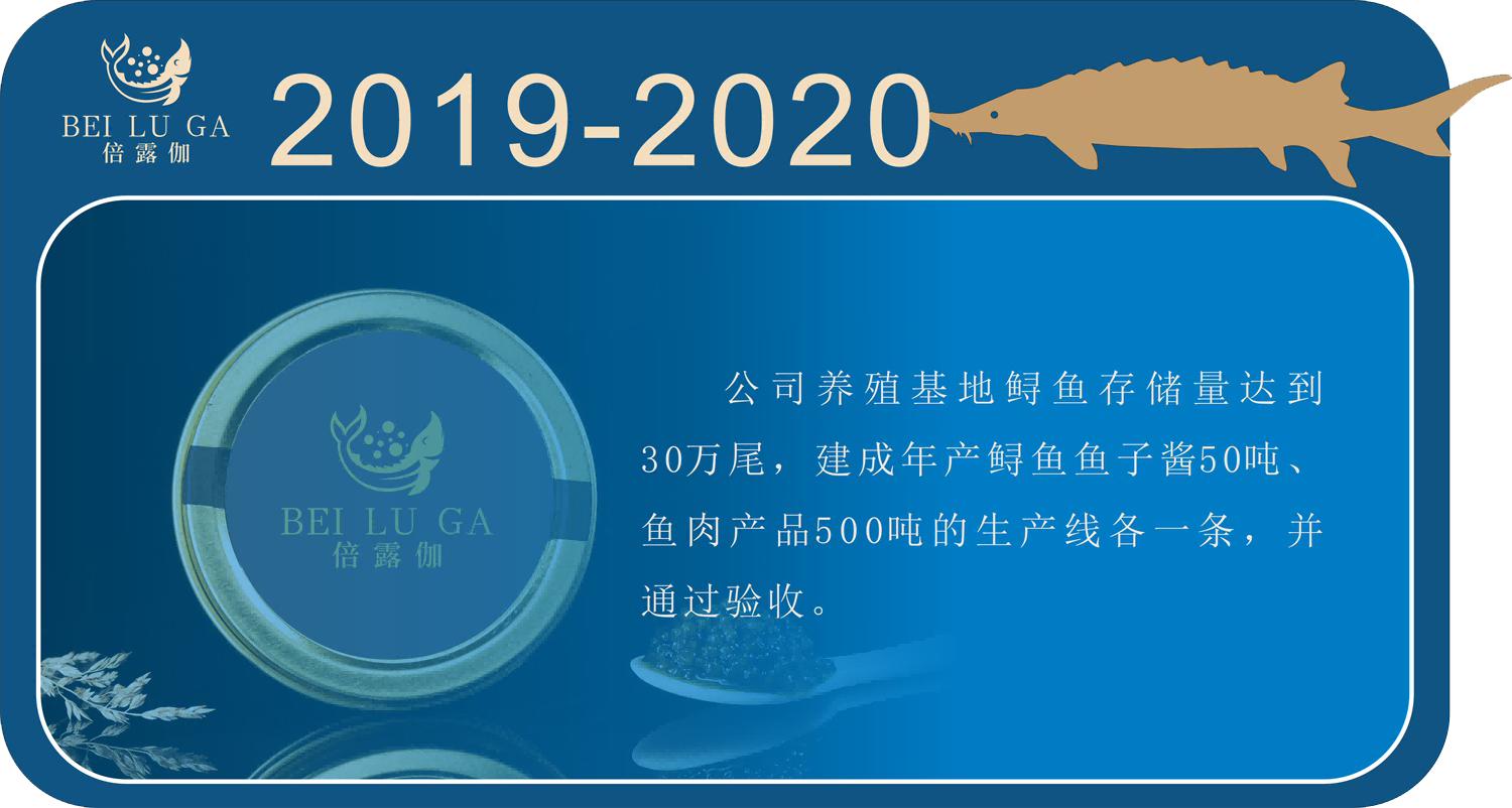 2019-2020