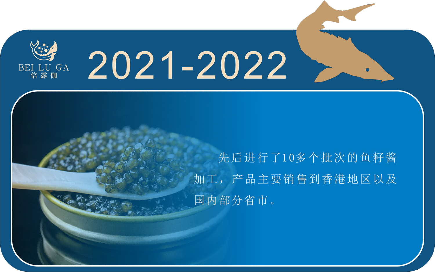 2021-2022