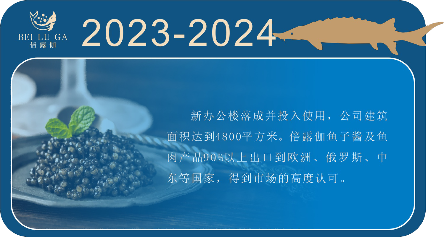 2023-2024