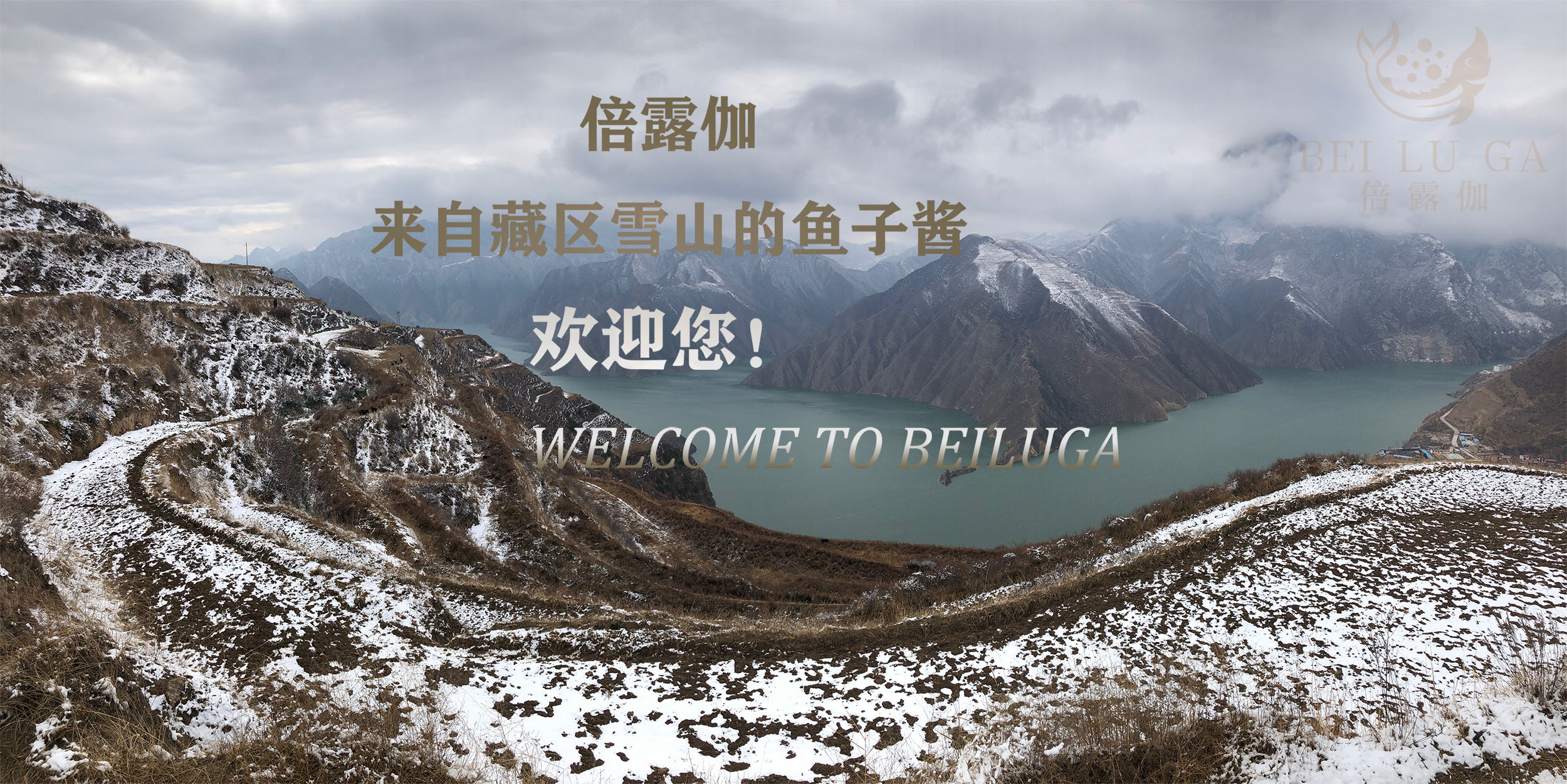 通栏图片
